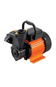 CRI Dora 100 Pump (1 H.P.)